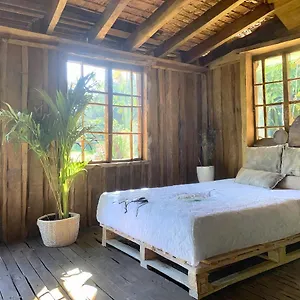 Pensionat Punta Arena Ecohostal And Ecofit - Your Eco-friendly Oasis 01 *