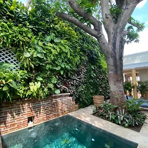 Casa Jaguar Boutique *