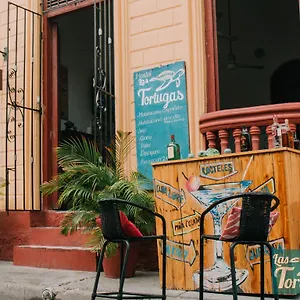 Las Tortugas